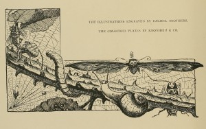 Illustration mit Raupe, Schnecke, Motte, Käfer, Spinne