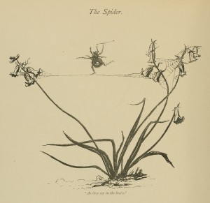 The Spider - "As they joy in the breeze."