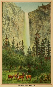 Beauties of California - Bridal Veil Falls