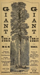 Beauties of California - Giant Tonic - Mammutbaum-Medizin