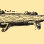 Land Pike - ein Reptil das wie ein Fisch aussieht