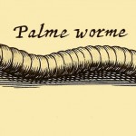 Tausendfüßer - Palmer worme