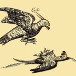 Adler von Orinoca - The Eagle of Orinoca