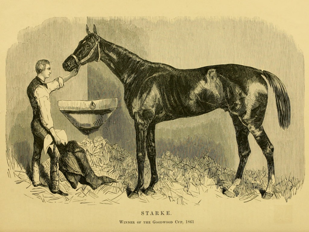 Berühmte Rennpferde aus Amerika 1877 Famous American Race Horses