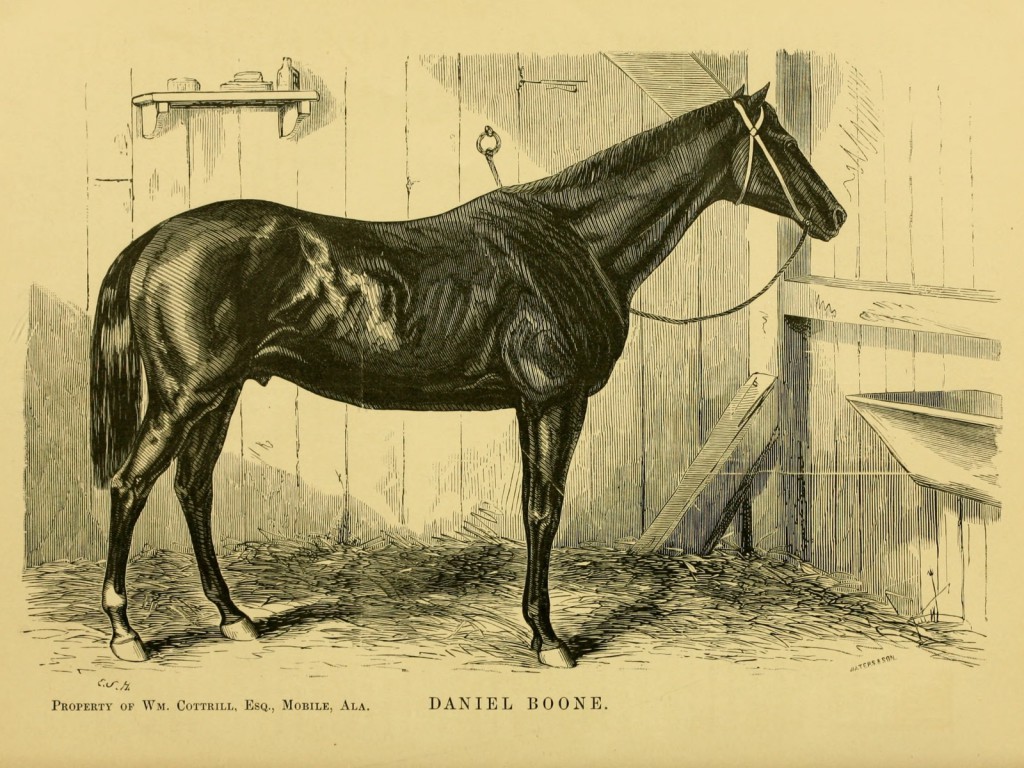 Berühmte Rennpferde aus Amerika 1877 Famous American Race Horses