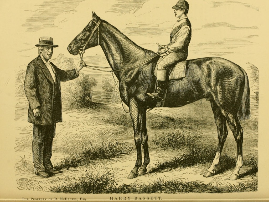 Berühmte Rennpferde aus Amerika 1877 Famous American Race Horses