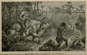 Hunting the Elephant on Ox-Back