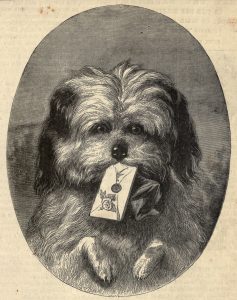 Dog with a letter